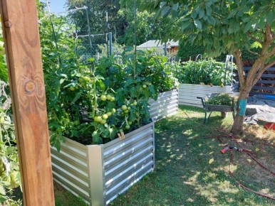 ��������, � �� �����: ������� ��������� ��������������