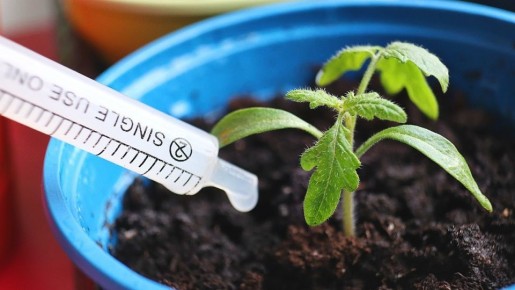 ��� ������� ���� �������� �������� ��������� � �����: ������� ��������� �����