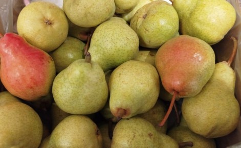 ��� � ������: ��� ������� � ����� ����� ����� � �������������