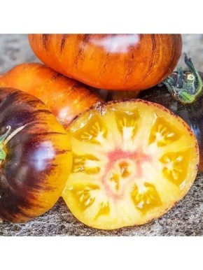 ����� ������ ������: �������� � ���� ��� �������� ��������