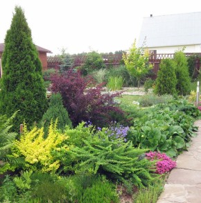 ��� ������� ��� ����� � �������� � ������ �������