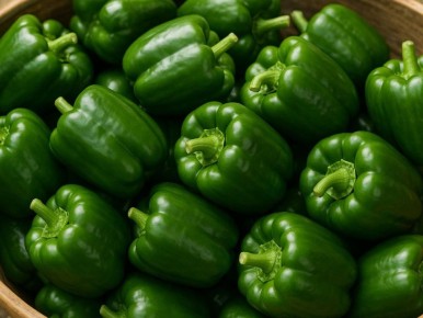 ��� �������� ����������� �����: ������ ������� ���������