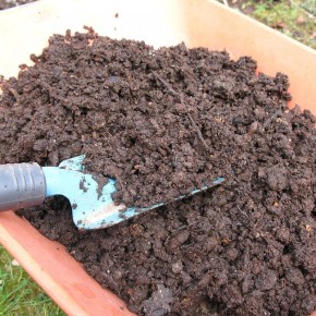 ������� ��� ����������: ������� ���������� � ������ � �����������