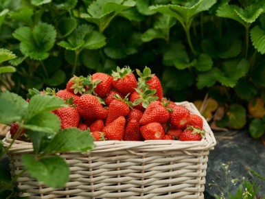 ������� ���� ������� �������� ����� �� ���� ���� � ��������� �����������