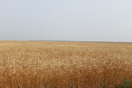 ������ ������ ��������� � �����������: ���������� ������ �������� � ���