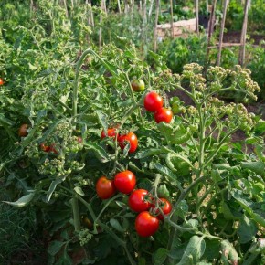 ������ ��� ������: ��� �������� ������������� �� ����� ��������