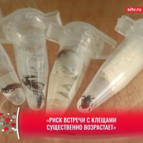 ����� ������������ � ���� �����: � ������� 11 ������� ���������� � �������� � ������� ������