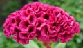 �������: ������� ��������� ����������� � ����� �� ����� �������