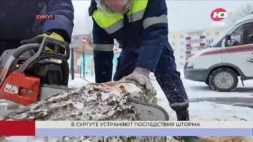 � ������� ��������� ����������� ��������