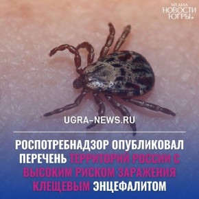 ���� ����� ����� �� �������� � ������� ������ ��������� �������� �����������