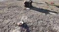 В Сургуте стартовал капитальный ремонт ливневой канализации на проспекте Ленина
