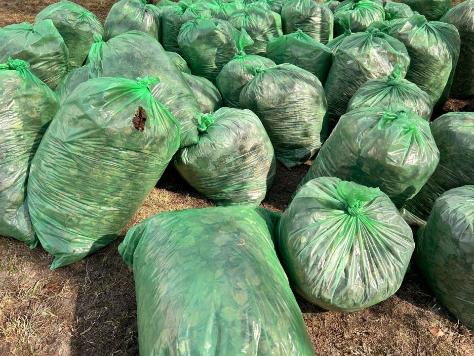 Сегодня с депутатами и аппаратом Думы провели субботник в сквере «Молодежный» Сегодня с депутатами и аппаратом Думы провели субботник в сквере «Молодежный»
