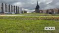 Тюльпаны начали расцветать в Сургуте