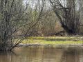 Днём в Сургуте +23°С. Ветер южный 7 м/с