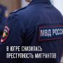 Контроль миграционной политики в Югре дал результат – снижение преступности на 81%