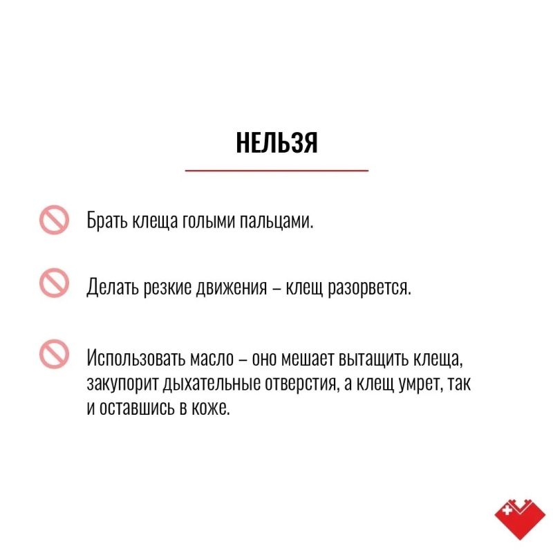Лето в Сургуте – время, когда тянет на природу Лето в Сургуте – время, когда тянет на природу