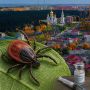 Ханты-Мансийск по-прежнему возглавляет список городов, где клещи чаще всего нападают на жителей