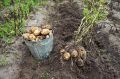 ������� �� ��������: ��� ���� ����� ��������� ���������� ����� � �������