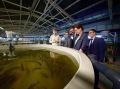 Дорожники возместили ущерб природе от строительства моста через Обь в Сургуте