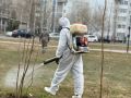 В Сургуте приступят к третьему этапу противоклещевой обработки