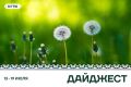 На этой неделе югорчане покоряли вершины, завоевывали награды и готовились к новым проектам
