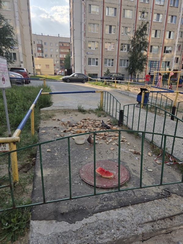 Крик души подписчицы: "Здравствуйте! Прошу обратить внимание на незаконное кормление голубей во дворе по улице Мелик-Карамова, рядом с детской площадкой