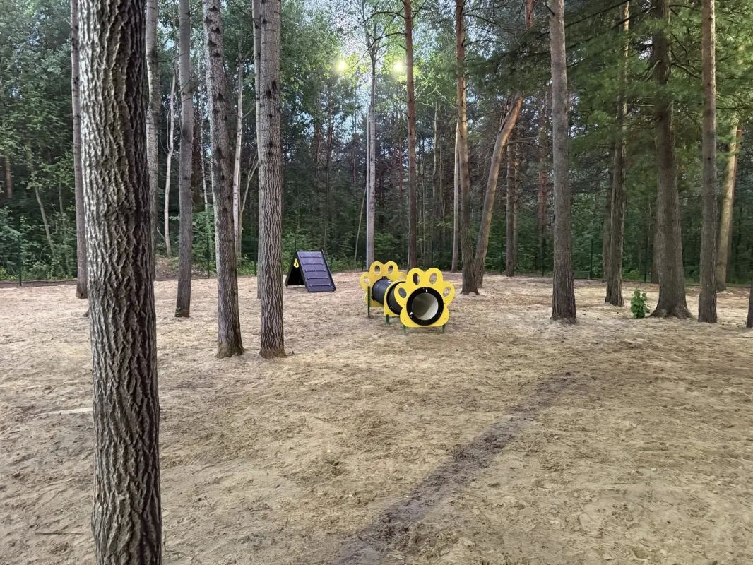 Площадка для выгула собак в парке «За Саймой» стала светлее и безопаснее Площадка для выгула собак в парке «За Саймой» стала светлее и безопаснее