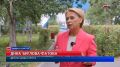 � ������� ������������ ����� ����� ��������������� �����