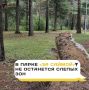 В парке «За Саймой» не останется слепых зон