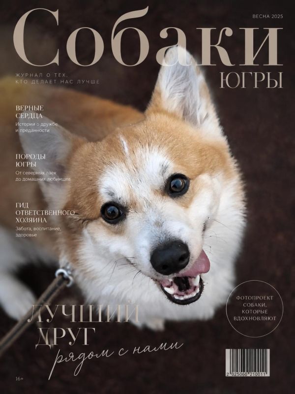 Вчера рассказали про самую красивую собаку, по версии журнала VOGUE Вчера рассказали про самую красивую собаку, по версии журнала VOGUE