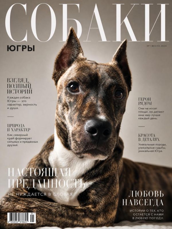 Вчера рассказали про самую красивую собаку, по версии журнала VOGUE Вчера рассказали про самую красивую собаку, по версии журнала VOGUE