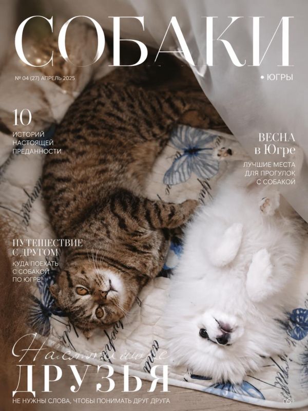 Вчера рассказали про самую красивую собаку, по версии журнала VOGUE Вчера рассказали про самую красивую собаку, по версии журнала VOGUE