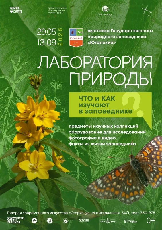 Рассказываем, куда сходить в Сургуте на выходных Рассказываем, куда сходить в Сургуте на выходных