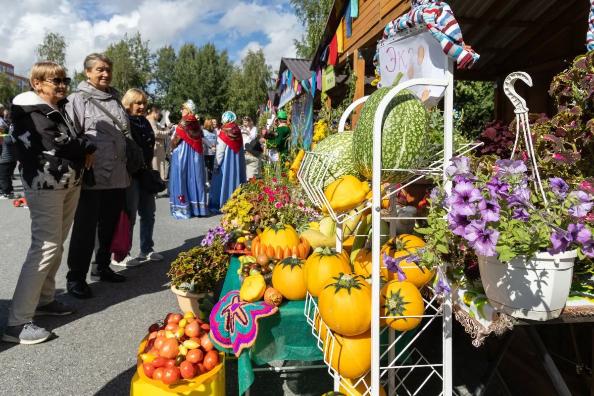 Праздник северного изобилия собрал в Сургуте четыре тысячи гостей Праздник северного изобилия собрал в Сургуте четыре тысячи гостей