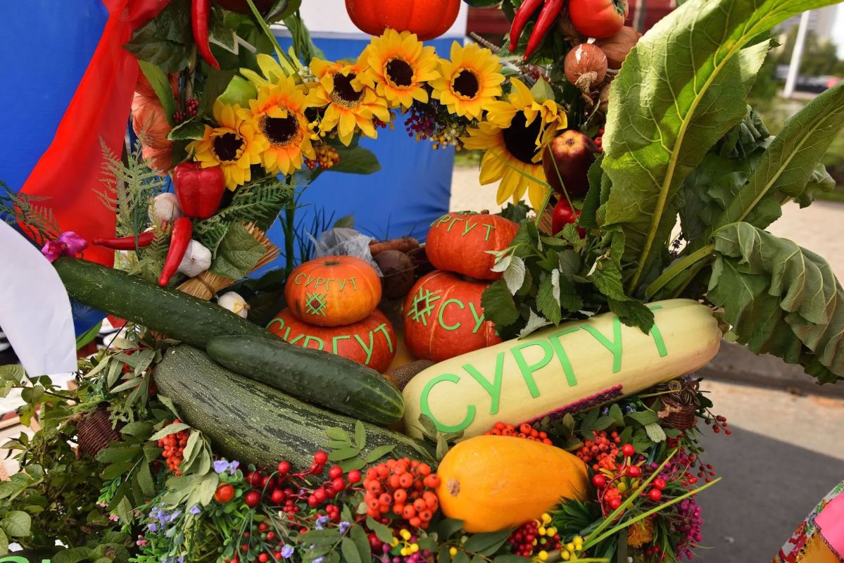 «Урожай года — 2026»: дары Севера на городской ярмарке «Урожай года — 2026»: дары Севера на городской ярмарке