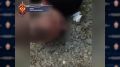 В Югре сотрудники РУФСБ России по Тюменской области накрыли нарколабораторию в Сургутском районе
