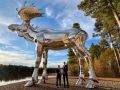 Лось из Югры вошел в Книгу рекордов России