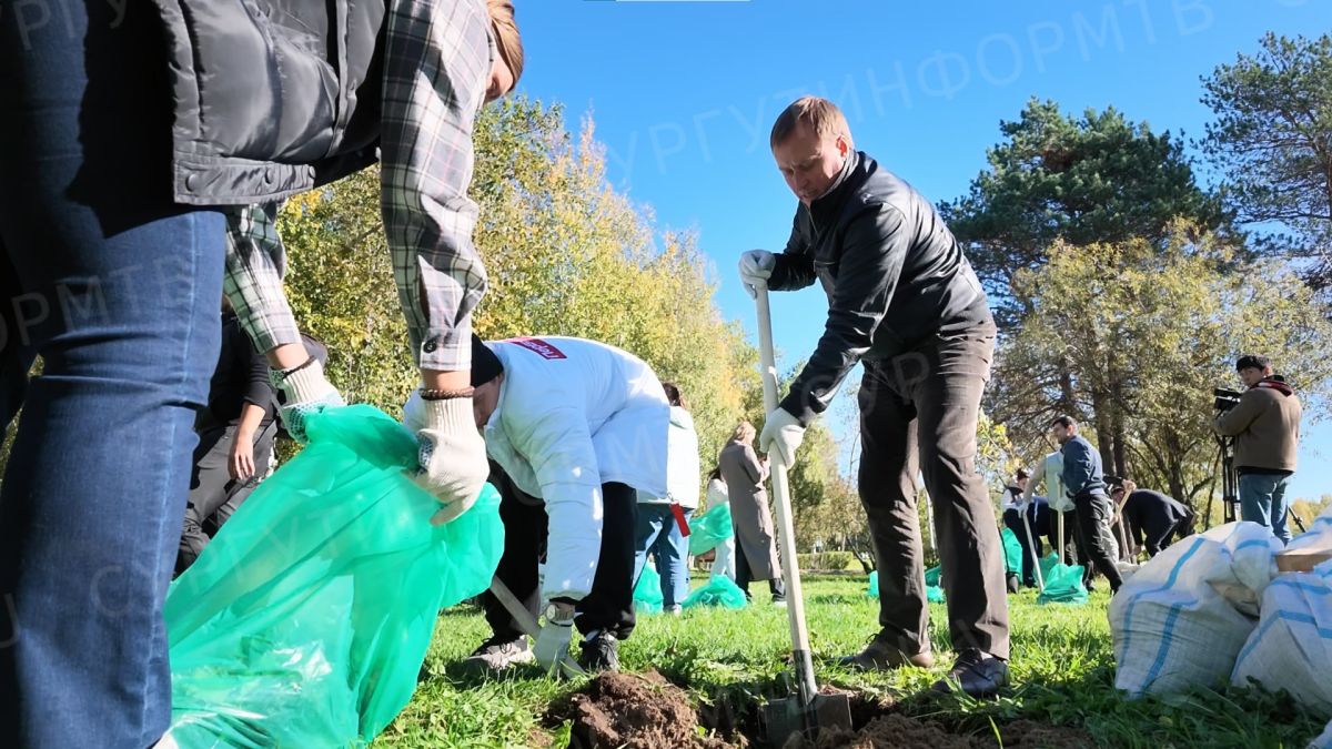 Сирени, клёны, яблони украсили обновленный Сквер Дружбы народов в Сургуте Сирени, клёны, яблони украсили обновленный Сквер Дружбы народов в Сургуте
