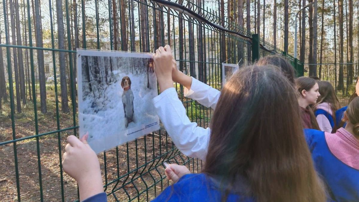 В Октябрьском районе открылась необычная фотовыставка В Октябрьском районе открылась необычная фотовыставка
