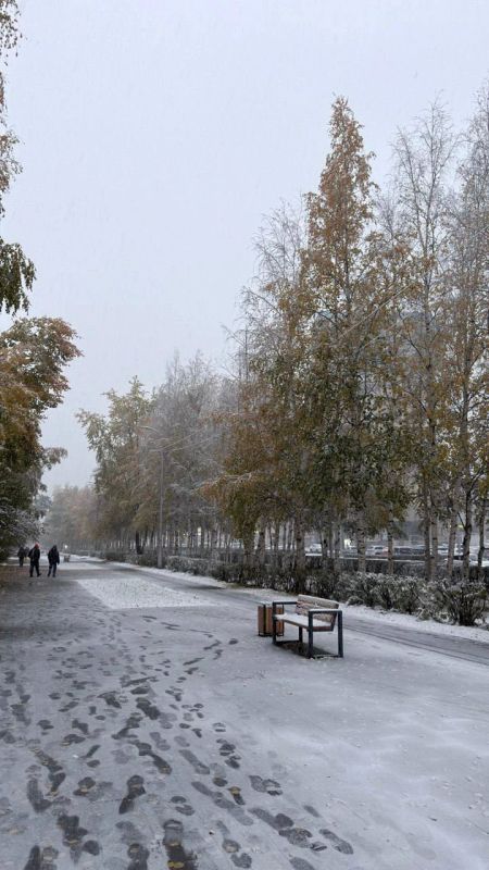 Снежный флешмоб не удался: зима в Сургуте покинула чат, но обещала вернуться Снежный флешмоб не удался: зима в Сургуте покинула чат, но обещала вернуться