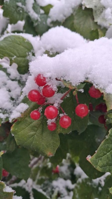 Когда двери не открываются, строй свои Когда двери не открываются, строй свои