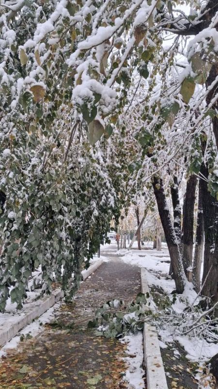 Когда двери не открываются, строй свои Когда двери не открываются, строй свои