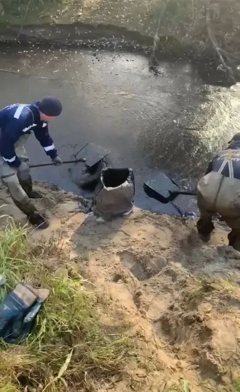 Протоку Бардыковку очистили от нефтепродуктов Протоку Бардыковку очистили от нефтепродуктов