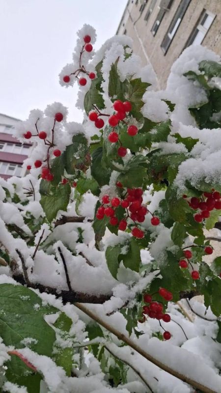 Когда двери не открываются, строй свои Когда двери не открываются, строй свои