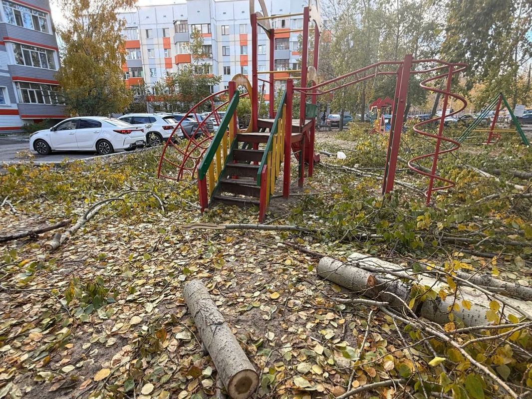 «Дети играют в обломках деревьев!»: крик души сургутянки об опасной площадке «Дети играют в обломках деревьев!»: крик души сургутянки об опасной площадке