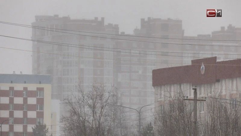 ЕДДС Сургута предупреждает о сильном ветре завтра